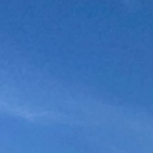 Meet your Posher, Sophia